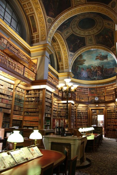 Beautiful Library Aesthetic, Fancy Library, European Library, Academia Library, Grand Library, Beautiful Libraries, Academic Aesthetic, National Assembly, Dream Library