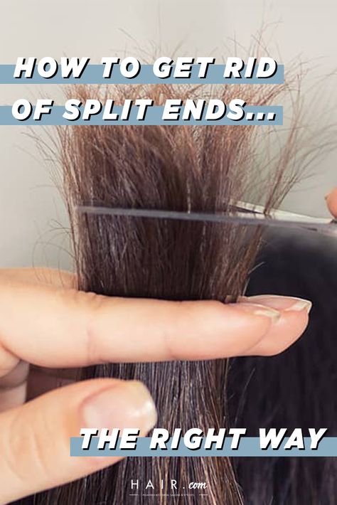 Damaged Ends Repair, Haircuts To Fix Damaged Hair, Repairing Split Ends, Haircuts For Split Ends, How To Help Split Ends, Trim Own Hair Split Ends, Split Ends Repair Homemade, How To Trim Dead Ends At Home, Trim Hair At Home Split Ends