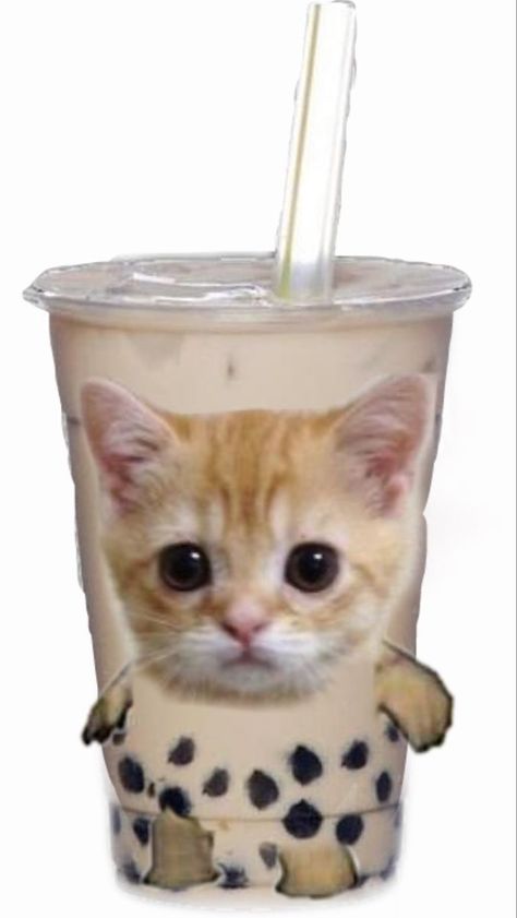 I found this on google so however found this please know I’m crediting them! Hope you enjoy the rest of the profile or pins! Matching Pfp Boba Tea, Boba Cat Wallpaper, Boba Memes Funny, Cute Boba Pictures, Kawaii Boba Wallpaper, Boba Tea Aesthetic Wallpaper, Cute Boba Wallpaper, Boba Picture, Banana Cat Wallpaper