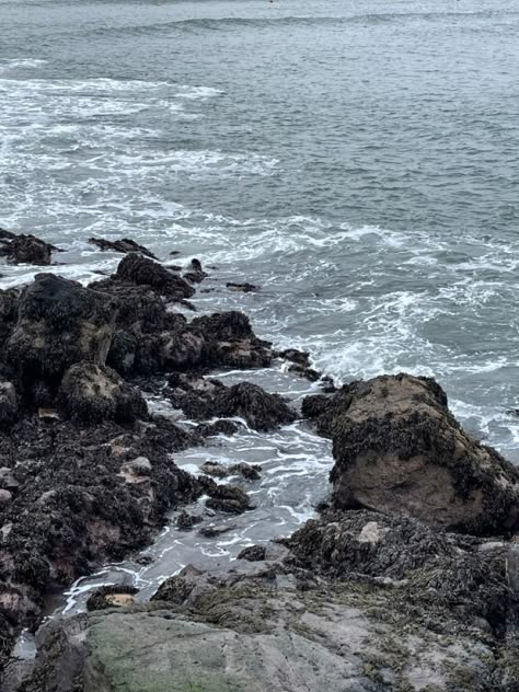 Gloomy and dark atmosphere, the photo is of a rocky shore with waves crashing against the rocks. North Sea Aesthetic, Medusa And Perseus, Hawk Aesthetic, A River Enchanted, Lighthouse Living, Daylight Rings, River Enchanted, Ocean Grunge, British Coastline