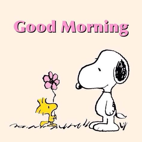 Images By Gonzales On Peanuts Awesome Words B94 Good Morning Snoopy Images, Snoopy Good Morning, Good Morning Snoopy, Awesome Words, Funny Good Morning Quotes, Snoopy Images, Snoopy And Woodstock, Morning Wish, Morning Wishes