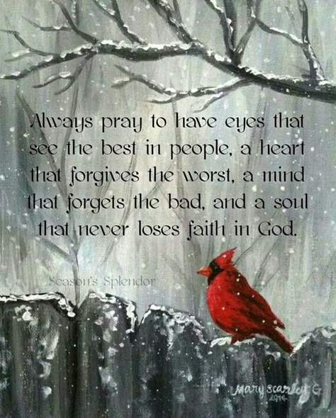 #Red #Quote #Cardinal #Bird #Faith #God #Jesus #Forgiveness #Pray Optimistic Quotes, Cardinal Bird, Cardinal Birds, Red Bird, Memories Quotes, Inspirational Prayers, Bird Lover, Red Birds, Prayer Quotes