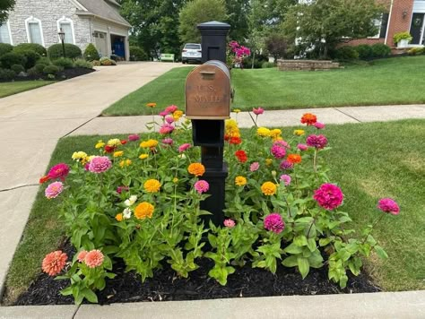 Rural Landscape Design, Wildflower Driveway Entrance, Front Yard Landscaping Ideas Wildflowers, Mailbox Landscaping Pots & Planters, Flowers At Mailbox Curb Appeal, Georgia Landscaping, Driveway Planting, Mailbox Landscape, Wildflower Mailbox Garden