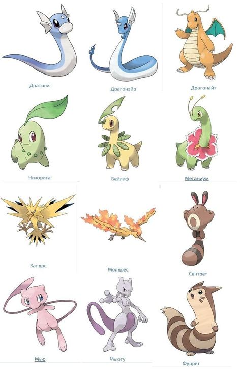 Pokemon Chart, Pokemon Pink, Nerdy Decor, Dragon Type Pokemon, 151 Pokemon, Pokemon Project, Pikachu Art, Pokemon Stickers, Work Stickers