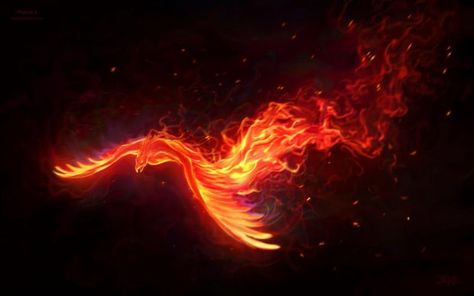 Phoenix Bird Desktop Background. Phoenix Wallpaper, Phoenix Images, Phoenix Artwork, Phoenix Fire, Bird Flying, Phoenix Art, Phoenix Bird, Phoenix Rising, Dark Phoenix