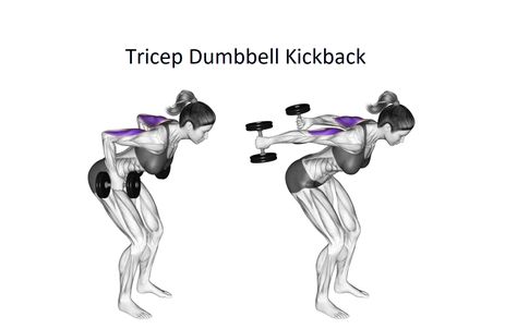 Tricep Dumbbell Kickback is an isolation exercise that is performed from a bent position that is used to increase the strength and size of the triceps. The triceps are the most significant muscles in the upper arm’s back which are responsible for shoulder, elbow, and forearm movement Tricep Dumbbell Kickback is good exercise for it. […] Tricep Kickback Exercise, Kick Backs Exercise, Gym In Home, Arms And Back Workout, Triceps Kickback, Back Extension Exercises, Tricep Kickback, Gym Plan, Push Day