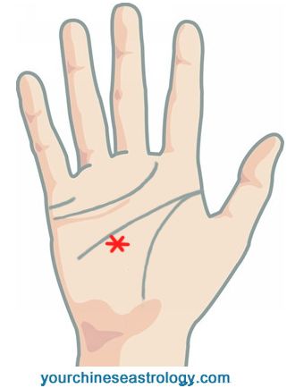 Star Sign on Palm Meaning - Palmistry Markings Palm Reading Lines, Palm Reading Charts, Palmistry Reading, Palm Lines, Witch Signs, Palm Reader, Face Reading, Palm Reading, How Many Kids