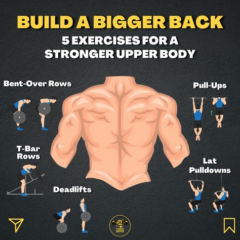 Infographic on how to build a bigger back with 5 exercises for a stronger upper body. T Bar Row, Strong Back, Body Strength, Upper Body Strength, Build Strength, Back Workout, Upper Body Workout, Pull Ups, Achieve Your Goals