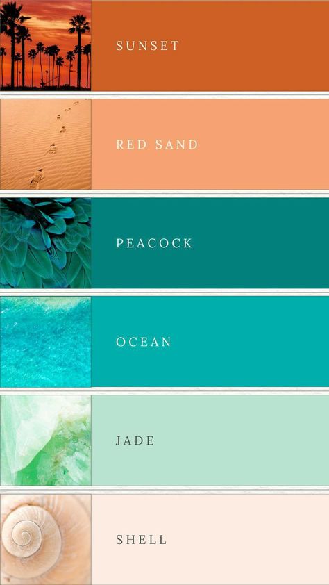 Turquoise Terracotta Color Schemes, Colours That Go With Turquoise, Teal Colors Palette, Beach Summer Color Palette, Colors That Go Good Together, August Color Scheme, Tropical Colors Palette, Colour Palette Turquoise, Beach Colors Palette