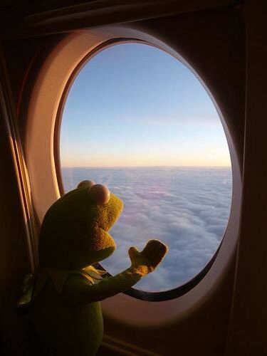 Kermit on a plane looking out the window Kermit Memes, Kermit Funny, Airplane Window, Kermit The Frog, Reaction Memes, Playlist Covers, The Frog, Reaction Pics, The Clouds