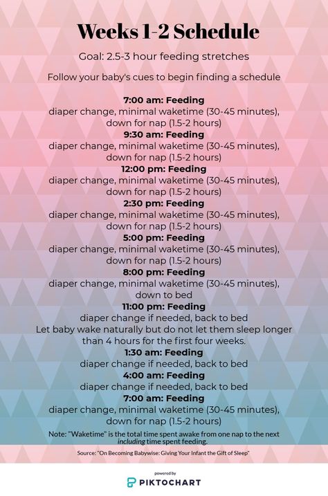 Baby Chart, Baby Trivia, Newborn Sleep Schedule, Newborn Schedule, Baby Routine, Baby Feeding Schedule, Week Schedule, Newborn Feeding, Baby Information