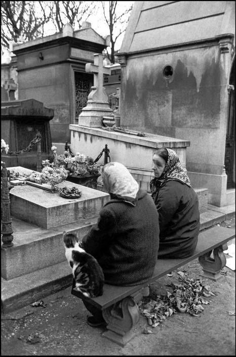 cat part of family She And Her Cat, Ian Berry, Père Lachaise Cemetery, Old Cemetery, Pere Lachaise Cemetery, Grave Yard, Parisian Women, Old Cemeteries, Cemetery Art