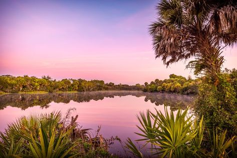 10 Best Things To Do In North Port, Florida North Port Florida, Southern Travel, Spring Park, Florida City, Natural Swimming Pool, Florida Vacation, Florida Travel, Beach Sand, Water Crafts