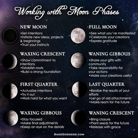 Sage Goddess on Instagram: “I love the New and Full Moon, but did you know you can work with Luna all month long? 🌙 ✨ ⠀⠀ ⠀ Working with moon magic is tapping into your…” Moon Phases Meaning, New Moon Full Moon, Moon Meaning, The Phases Of The Moon, Moon Reading, New Moon Rituals, Moon Journal, Moon Setting, Crystal Goddess