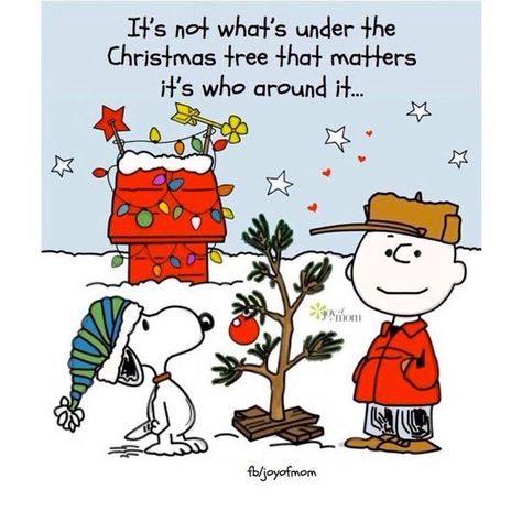 charlie brown christmas quotes Charlie Brown Quotes Christmas, Snoopy Christmas Quotes, Charlie Brown Christmas Quotes, Charlie Brown Christmas Decorations, Christmas Decorations Diy For Kids, God And Family, Xmas Messages, Charlie Brown Quotes, Best Christmas Quotes