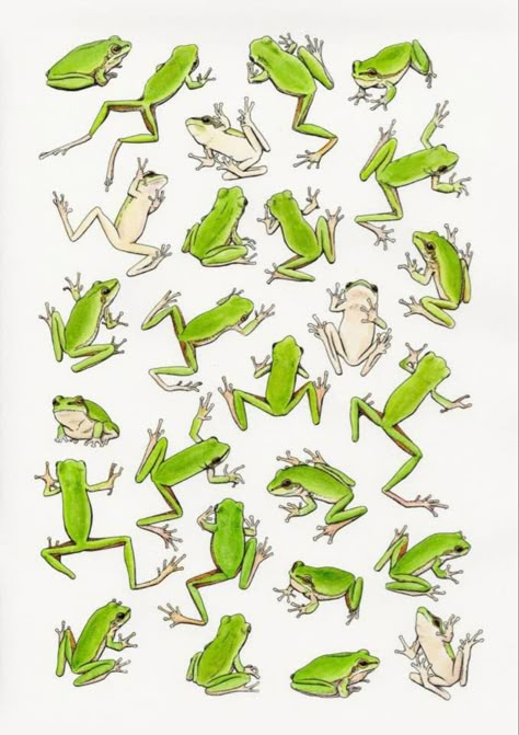 Frosch Illustration, Frog Stickers, Frog Illustration, Frog Pictures, Frog Tattoos, Frog Drawing, Frog Art, Green Frog, Arte Inspo