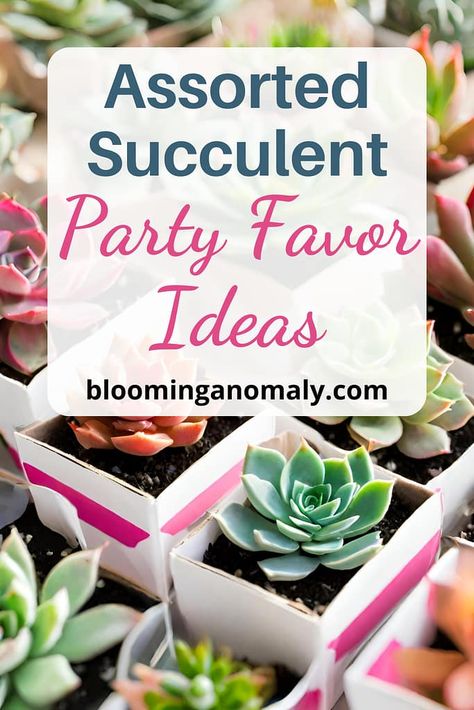 Assorted Succulent Party Favor Ideas Mini Potted Plants Party Favors, Succulent Party Favors Diy, Succulent Puns For Teachers, Garden Party Favors For Adults, 6th Birthday Theme, Succulent Puns, Succulent Party Favors, Succulent Party, 50th Birthday Party Favors