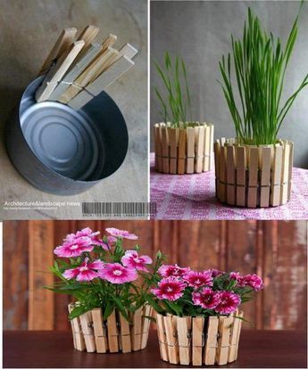 نباتات منزلية, Plant Pot Diy, Diy Flores, Fleurs Diy, Cheap Flowers, Deco Nature, Diy Flower Pots, Dekor Diy, בר מצווה