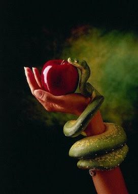 Adam And Eve Apple, Holding An Apple, Tier Tattoo, Carlos Castaneda, Apple Art, Snake Art, Forbidden Fruit, Cicely Mary Barker, David Hockney