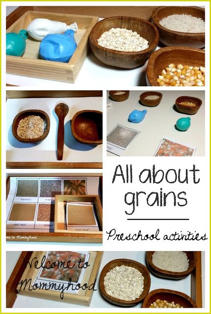 Montessori inspired all about grains printables, practical life, and sensorial activities by Welcome to Mommyhood #montessori, #sensorial, #preschoolactivities, #montessoriactivities, #grains, #freeprintablesforkids Sensorial Activities, Montessori Science, Practical Life Activities, Montessori Elementary, Montessori Lessons, Montessori Method, Montessori Practical Life, Montessori Homeschool, Montessori At Home