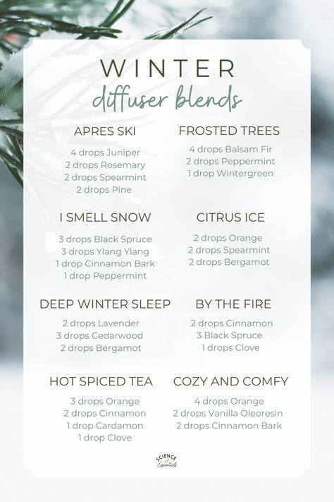 Winter Diffuser Blends, Spa Essential Oils, Diffuser Blends Young Living, Christmas Diffuser Blends, Pinterest Png, Holiday Potpourri, Best Essential Oil Diffuser, Winter Science, Essential Oil Combinations