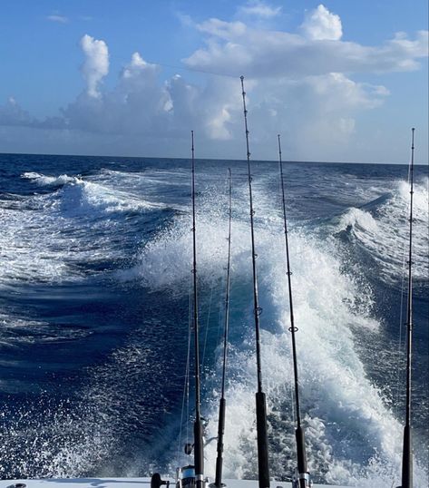 KEY WEST FL Fish Shop Aesthetic, Fishing Aesthetic Ocean, Key West Florida Aesthetic, Summer Nature Aesthetic, Fishing Aesthetic, Therapy Homework, Keys Florida, District 4, Fl Keys