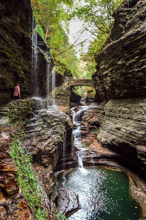 Watkins Glen State Park, Oregon Road Trip, Watkins Glen, Oregon Travel, Bora Bora, Beautiful Places To Travel, Beautiful Places To Visit, Pretty Places, Vacation Destinations