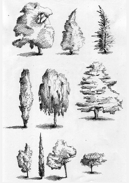 Types Of Trees, Tree Sketches, Pen Art Drawings, Landscape Sketch, Architecture Drawing Art, Nature Drawing, Landscape Drawings, Tree Drawing, Pencil Art Drawings