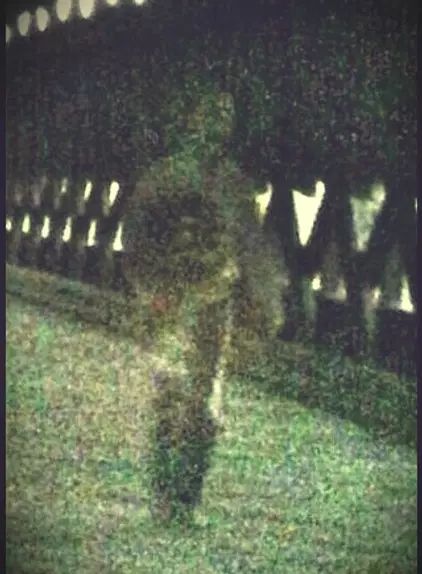 After Dark Investigations - Paranormal Investigations in Gettysburg Real Ghost Photos, Paranormal Pictures, Paranormal Photos, Ghost Sightings, Creepy Ghost, Scary Things, Haunted History, Strange History, St Augustine Fl