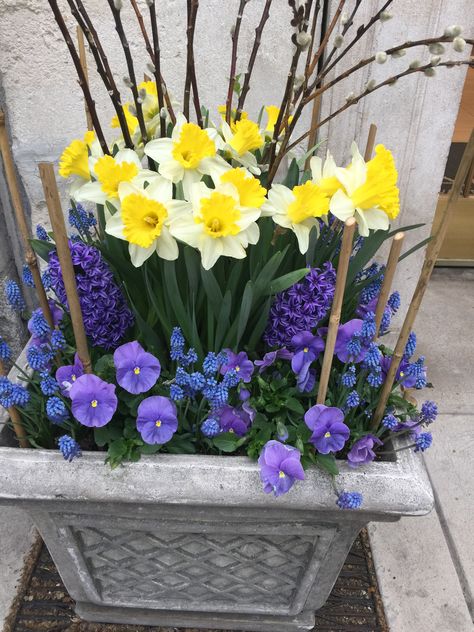 Easter Window Boxes, Italian Garden Ideas, Bulbs In Containers, Bulbs Garden Design, Summer Planter, Spring Planter, Container Gardening Flowers, Garden Urns, Garden Bulbs