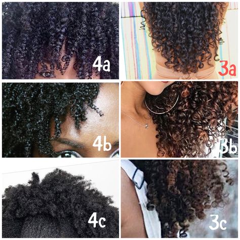 Natural Hair Texture Chart, 4c Hair Chart, Black Hair Texture Chart, Curly Hair Texture Chart, Curl Texture Chart, Type Hair Chart, Levels Of Curly Hair, Hair Chart Type, 4 B Hair Texture