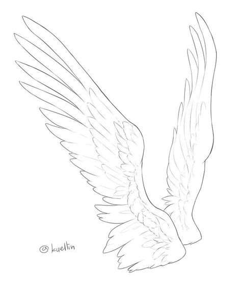 Feathers Reference, Angel Wings Tutorial, Wing Reference, Wings Reference, How To Draw Wings, Wing Anatomy, Wings Feathers, Wings Sketch, Winged People