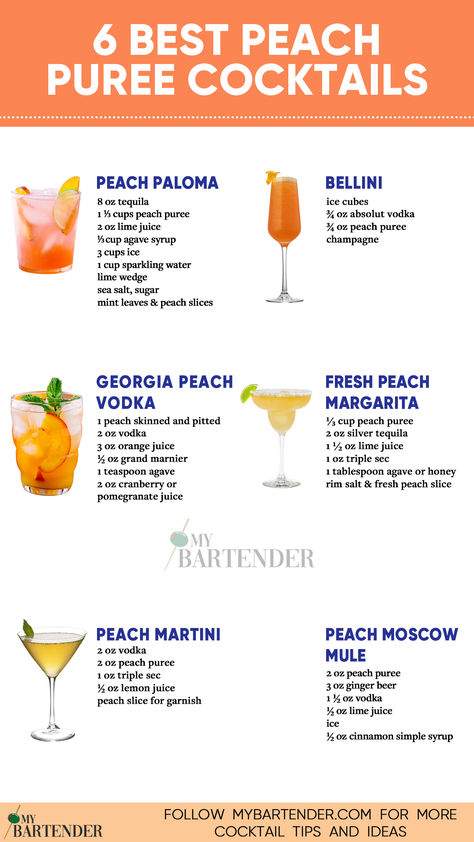 Best Peach Puree Cocktails Drinks With Peach Puree, Easy Peach Margarita Recipe, Peach Liquor Drinks, Cocktails With Peach Syrup, Peach Spritzer Cocktails, White Peach Cocktail, Peach Martini Recipe Vodka, Peach Puree For Drinks, Peach Nectar Cocktail