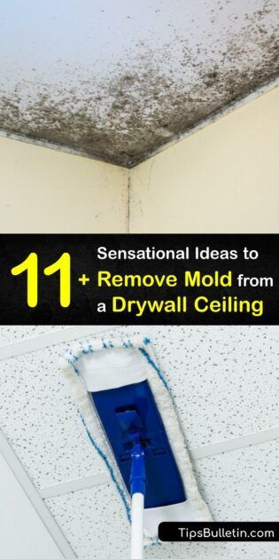 Water damage makes mold grow on your drywall ceiling or popcorn ceiling. It’s crucial to destroy mold spores and begin mold removal promptly. Clean mold with DIY tricks using baking soda or white vinegar, and prevent mold growth by controlling humidity. #remove #mold #drywall #ceiling Mold On Walls, Mold On Bathroom Ceiling, Remove Mold From Walls, Remove Mold From Shower, Diy Mold Remover, Bathroom Mold Remover, Clean Black Mold, Cleaning Ceilings, How To Remove Mold