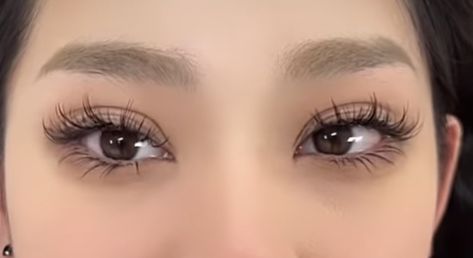 Manhua Lashes, Natural Fake Eyelashes, Manga Lashes, Lash Extentions, Lash Extensions Makeup, Perfect Eyelashes, Doll Eye Makeup, Pretty Lashes, Eyelash Extentions