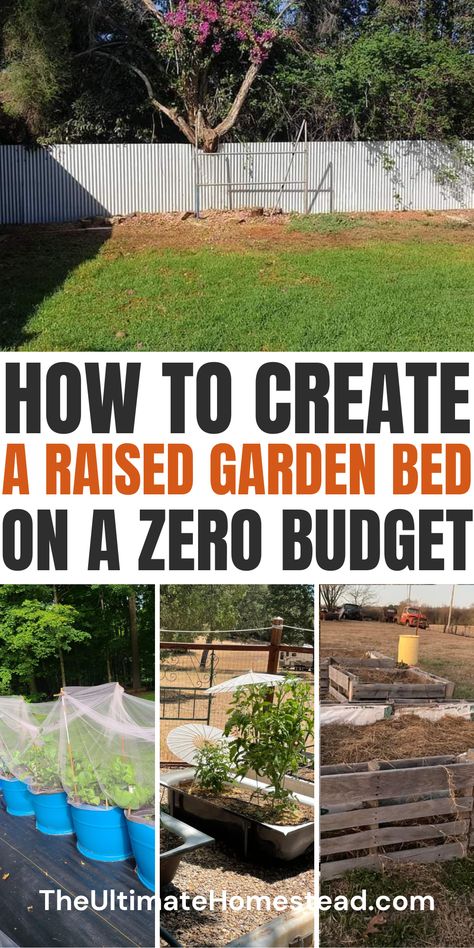 Looking for affordable ways to build your dream garden? My guide on Budget Raised Garden Beds includes DIY raised garden beds plans, tips for free raised beds, and advice on choosing the best garden bed size and the perfect garden location ideas. Learn how to create the cheapest raised beds without sacrificing quality. Plus, get a FREE "101+ Garden Bed Layout Ideas" Ebook for more creative inspiration. Click now to start building your garden today! Garden Bed Layout Ideas, Bed Layout Ideas, Diy Raised Garden Beds, Bed Layout, Old Bathtub, Garden Bed Layout, Raised Garden Bed Plans, Building Raised Garden Beds, Weed Barrier