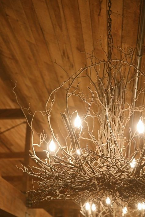 No wonder light bulbs are symbols of inspired ideas! 25 wildly different chandeliers made of branches. Branch Pendant Lights, Tree Branch Chandelier Diy, Diy Branch Chandelier, Diy Farmhouse Lighting, Handmade Chandelier Diy, Diy Tree Branch Decor Creative Ideas, Grapevine Chandelier, Branches Chandelier, Diy Chandelier Ideas