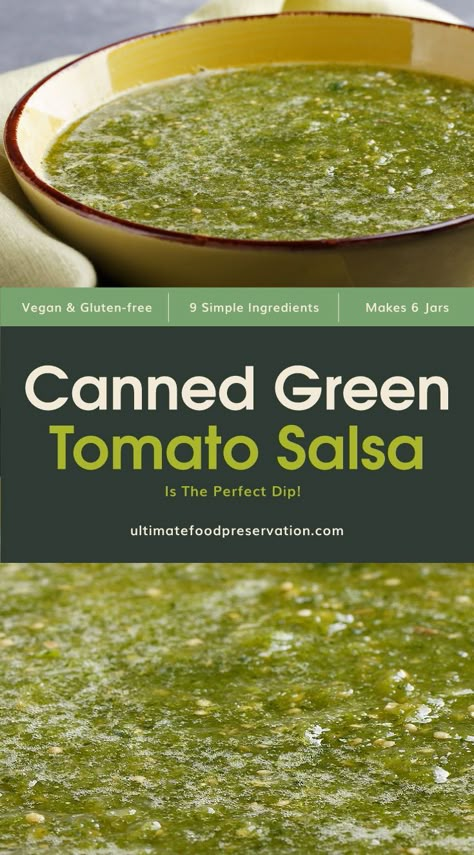 Canned Green Tomato Salsa Verde Recipe, Salsa Verde With Green Tomatoes Canning, Canning Salsa Verde Green Tomatoes, Canning Green Salsa Verde, Green Tomato Salsa Verde Recipe, Canned Green Tomatoes Recipes, Green Tomato Recipes Salsa, Green Tomato Chili Verde, Salsa Verde With Green Tomatoes