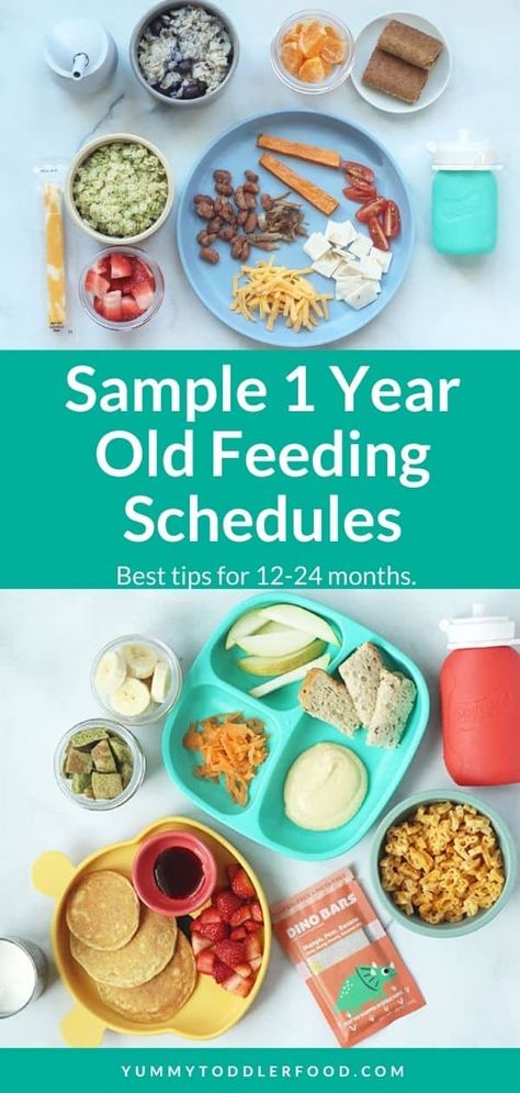 One Year Old Breakfast Ideas, One Year Old Meal Ideas, One Year Old Foods, Picky Eating Toddler, Easy Toddler Lunches, Meal Schedule, Easy Toddler Meals, Toddler Food Ideas, Eating Schedule