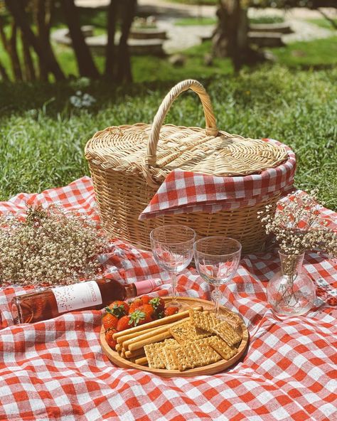 Picnic Wedding Theme, 70s Picnic Aesthetic, Woodsy Picnic, Vintage Picnic Aesthetic, English Picnic Aesthetic, Gingham Picnic Aesthetic, Picnic Flatlay, Picnic Red Aesthetic, Picnic Mat Aesthetic