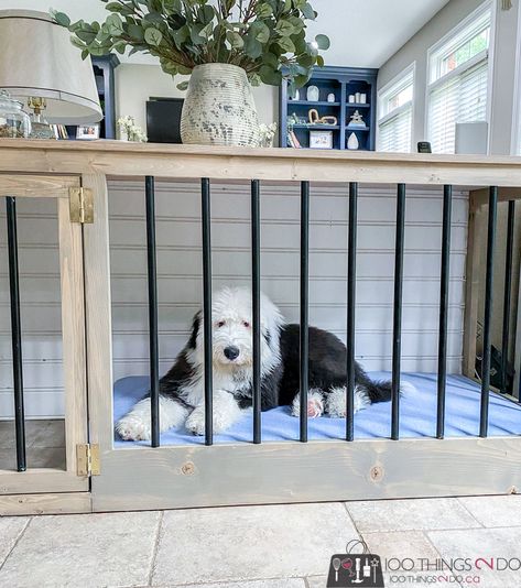 DIY dog crate for large breed dogs - 100 Things 2 Do Indoor Dog Pen, Xxl Dog Crate, Pet Crate Furniture, Dog Crate Ideas, Custom Dog Crate, Kennel Diy, Double Dog Crate, Heavy Duty Dog Crate, Diy Dog Crate