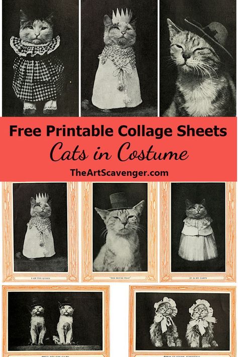 Cat Junk Journal, Free Printables For Junk Journals, Vintage Junk Journal Free Printable Collage Sheet, Free Junk Journal Vintage Printables, Free Printable Ephemera, Funky Collage, Free Junk Journal Printables, Free Art Download, Free Junk Journal