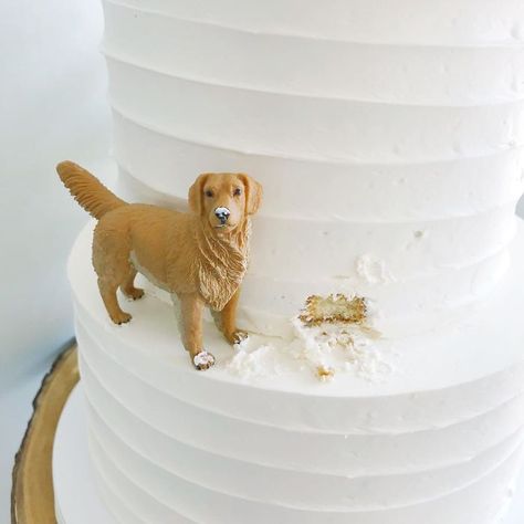 Cakes-Design-Kake-Darci Wedding Cakes Dog, Dog Cake Topper Wedding, Themed Wedding Cakes, 강아지 그림, Dog Cake, Future Wedding Plans, Cute Wedding Ideas, Tiny Dogs, Dog Wedding