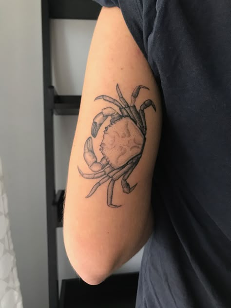 #tattoos #tattooist #marthasmithtattoo #dotwork #dotworktattoo #dotworkers #london #cutetattoos #delicatetattoo #blackwork #smalltattoos #tattoosforwomen #tattooideas #crab #crabtattoo Cool Crab Tattoo, Sea Crab Tattoo, Crab Leg Tattoo, Crab Tattoo Blackwork, Crab Flash Tattoo, Dungeness Crab Tattoo, Blue Crab Tattoo For Women, Crab Tattoo Men, Cute Crab Tattoo