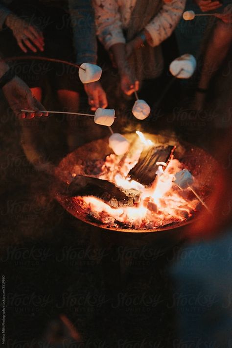 friends roasting marshmallows in the outdoors Party Snacks Christmas, Finger Food Christmas, Finger Foods Christmas, Christmas Garden Party, Party Appetizers Christmas, Christmas Party Desserts, Appetizers Christmas Party, Party Food Ideas Christmas, Christmas Party Dessert