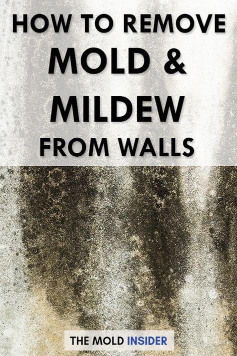 How To Remove Black Mold From Walls, Homemade Mold Remover, Homemade Mold And Mildew Remover, How To Remove Mold From Basement Walls, Natural Mold And Mildew Remover, Best Mold And Mildew Remover, Mold Remover Bathroom Walls, How To Clean Mold Off Walls, How To Get Rid Of Mould On Walls