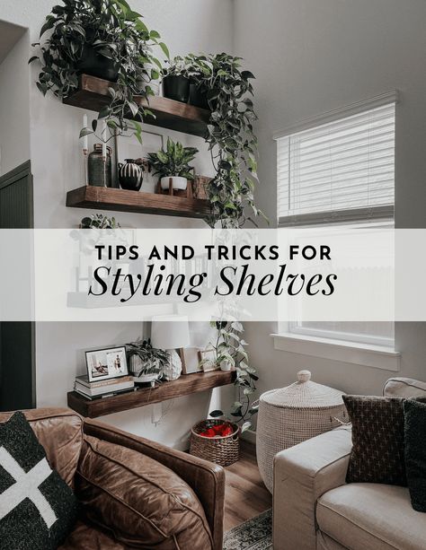 Tips and tricks for styling shelves in your home, along with some of my favorite shelf decor Plants On Shelf Living Room, Floating Shelves With Plants Living Room, Shelf Above Dresser, Small Wall Shelf Decor, Long Shelf Decor Living Room, Floating Shelf Arrangement Ideas, Decorating Floating Shelves, Shelf Over Window, Shelf Above Tv