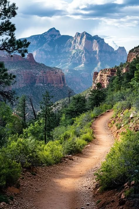 "Discover breathtaking hiking trails around the world! 🥾🏔️ Perfect for nature lovers and thrill-seekers. #HikingEnthusiasts #ScenicTrails #AdventureGuide" Hiking In Nature, Hiking Trails Aesthetic, Hiking In The Mountains, Hiking Astethic Pictures, Hiking Trail Aesthetic, Hikes Aesthetic, Hike Aesthetic, Vision Board Design, Hiking Views