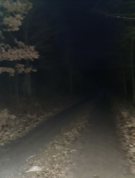 Path, dark, night, sweden, november, forest. Bones In The Forest, Bones In Forest, Creepypasta Aesthetic, Illusion Aesthetic, Woods At Night, Forest Horror, Creepy Forest, Rock Pathway, Forest At Night