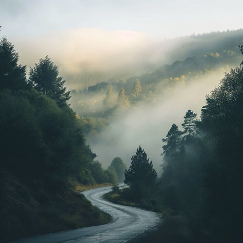 Misty Mountain Road: A winding road disappears into the misty forest under the soft light of the morning. #mist #mountains #road #forest #morning #aiart #aiphoto #stockcake ⬇️ Download and 📝 Prompt 👉 https://ayr.app/l/yuPG Forest Reference, Mist Forest, Forest Morning, Mom Painting, Colour Collage, Mountain Path, Life Mood Board, Foggy Mountains, Misty Mountain